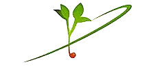 altue