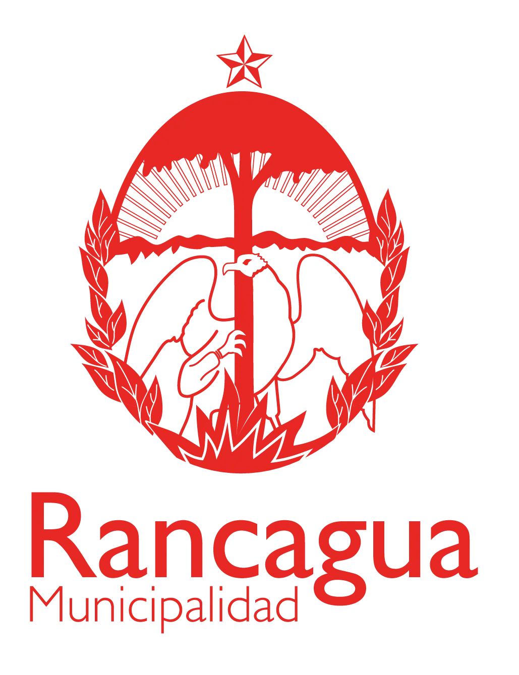Imagen de Ilustre Municipalidad de Rancagua